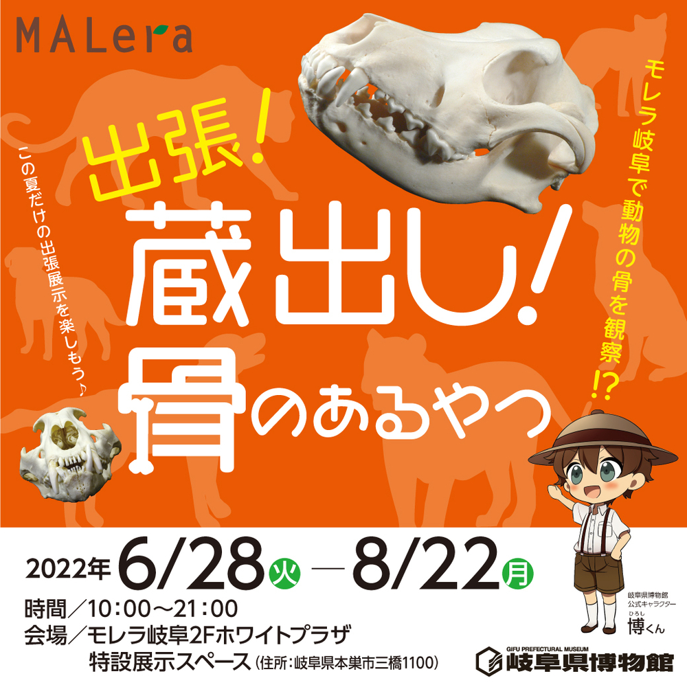 岐阜県博物館Presents「出張！蔵出し！骨のあるやつ」